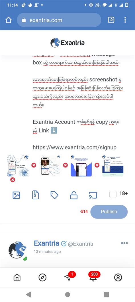 exantria apk|Exantria .